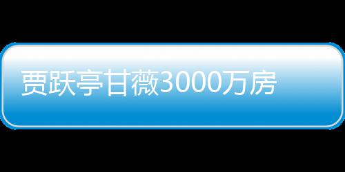 被拍卖 薇30万亭甘贾跃尚欠银行亿元房产